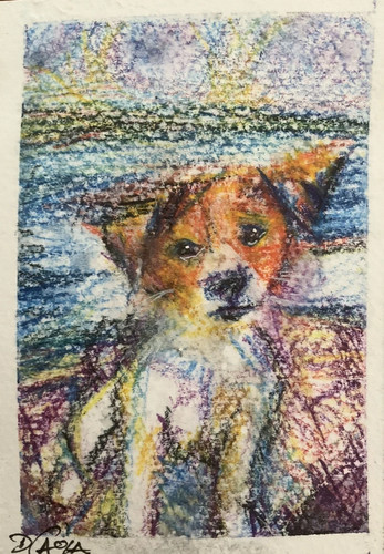 Original aceo jack - original,