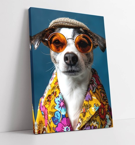 Jack russell dog funky - jack,