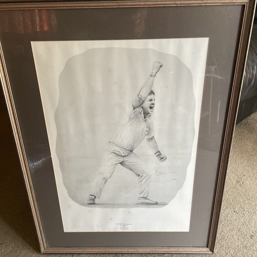 Jack russell cricket - jack, heroes