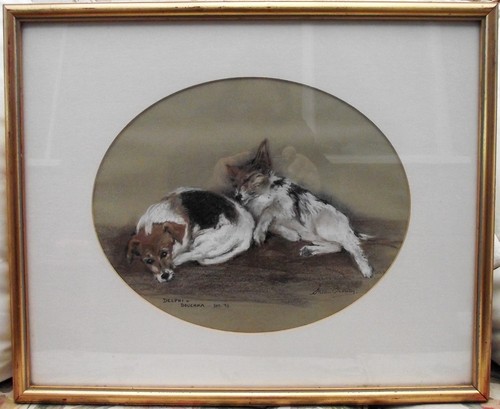 Original pastel jack russell - pastel,