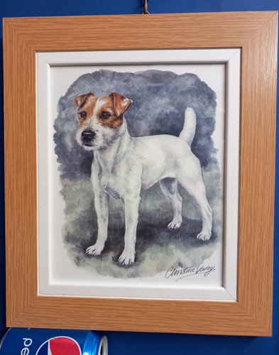 Painting jack russell terrier - jack,