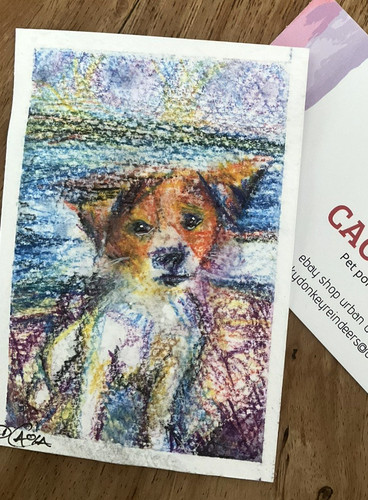 Original aceo jack - original,