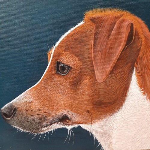 Jack russell portrait amazing - russell,