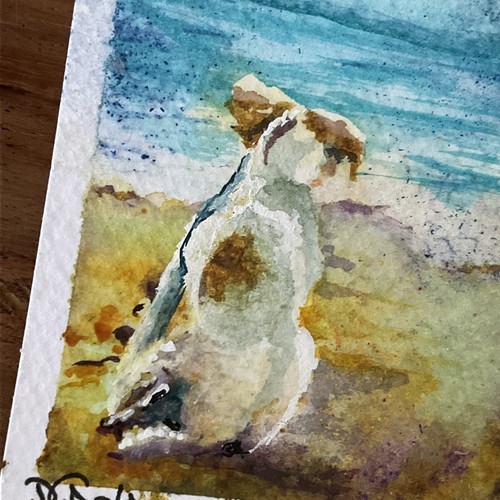 Watercolor aceo painting jack - watercolor,