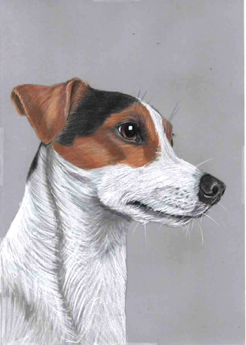 Original colour pencil - , artwork