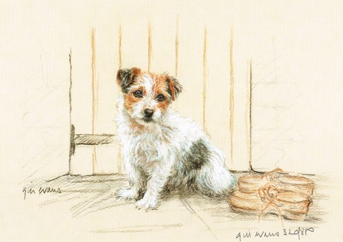 Jack russell terrier print - jack,