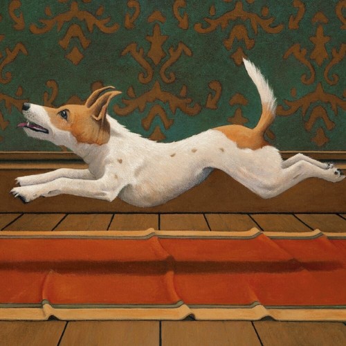 Beautiful jack russell - jack,