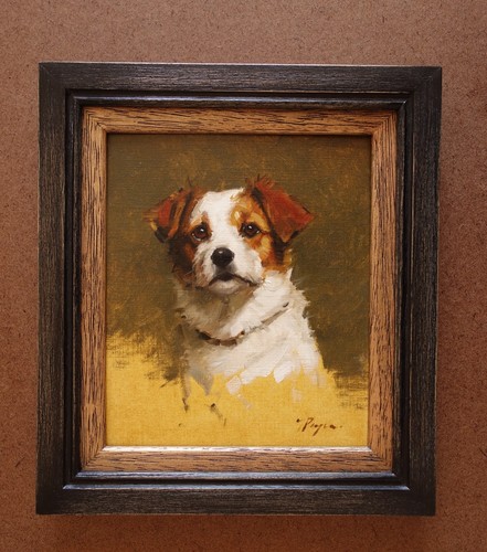 Oil painting jack - jack, russell