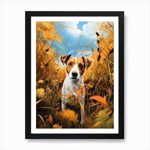 Jack russell terrier field - russell,