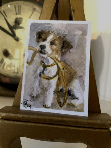 Watercolor aceo painting jack - aceo,
