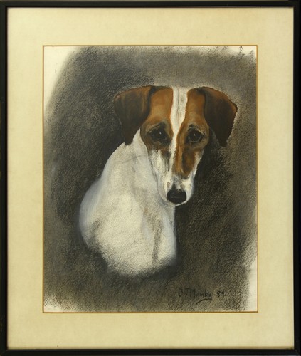 Pastel jack russell - jack, by