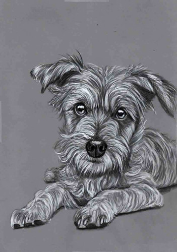 Original pencil drawing - pencil,