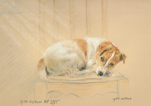 Jack russell terrier chair - russell,