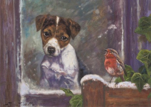 Jack russell robin dog cute - russell,