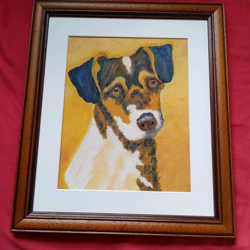 Jack russell terrier dog - russell,