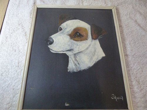 Original jack russell - •,