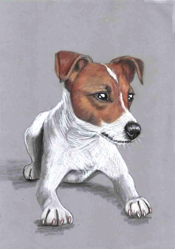 Original colour pencil - , artwork