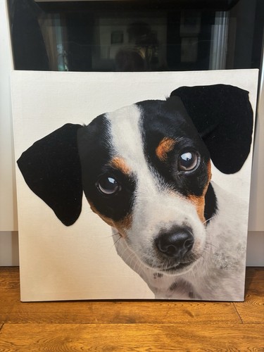 Jack russell canvas - jack,