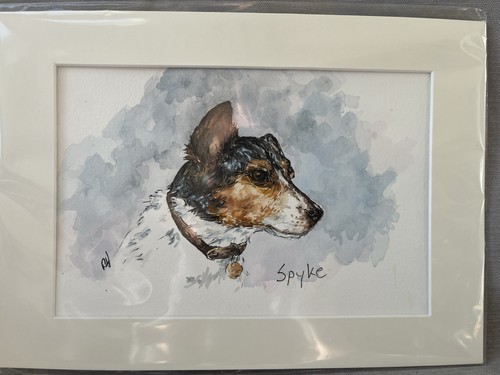 Jack russell original - jack,