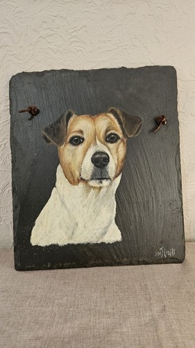 Jack russell dog portrait - russell,