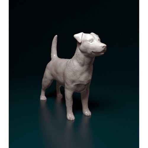 Smfd009 jack russell - jack, terrier