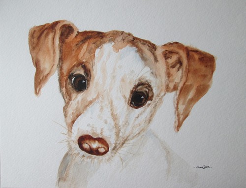 Jack russell dog original - dog",