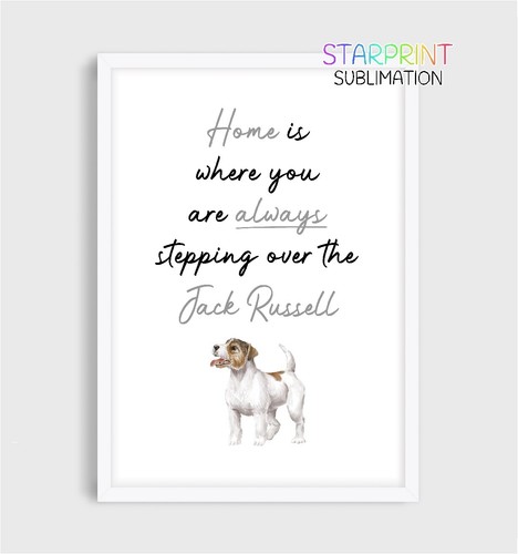 Jack russell terrier unframed - jack,