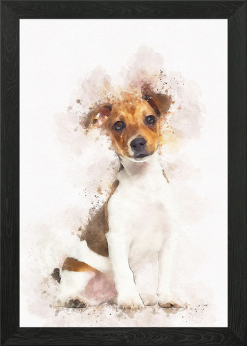 Jack russell terrier - , puppy