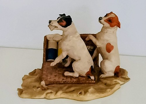 Heredities jack russells - jack,