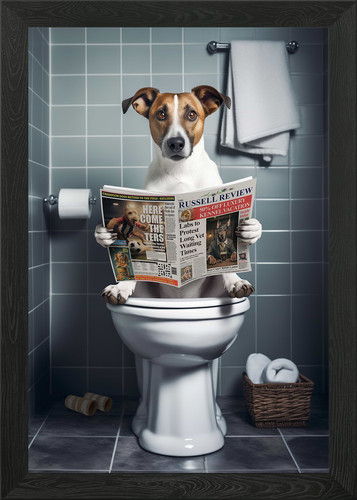 Jack russell the toilet - on,