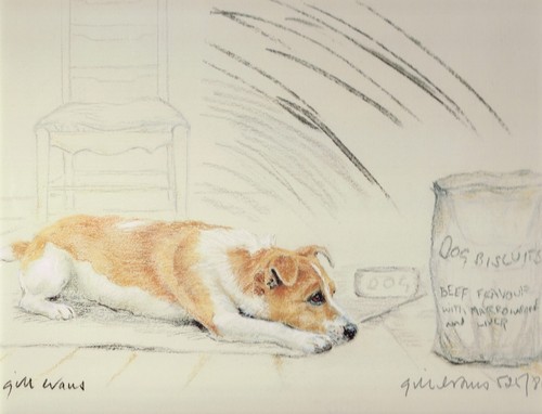 Jack russell terrier print - russell,