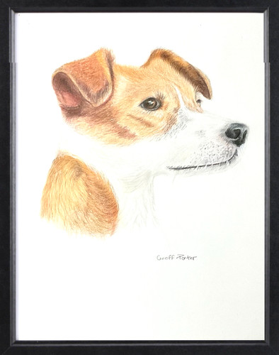 Original jack russell painting - original,