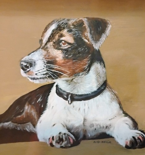 Jack russell portrait - russell, original