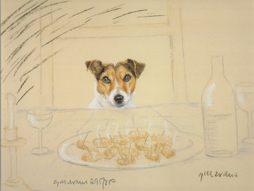 Jack russell terrier print - jack,