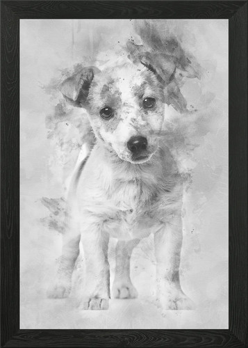 Jack russell puppy month - jack,