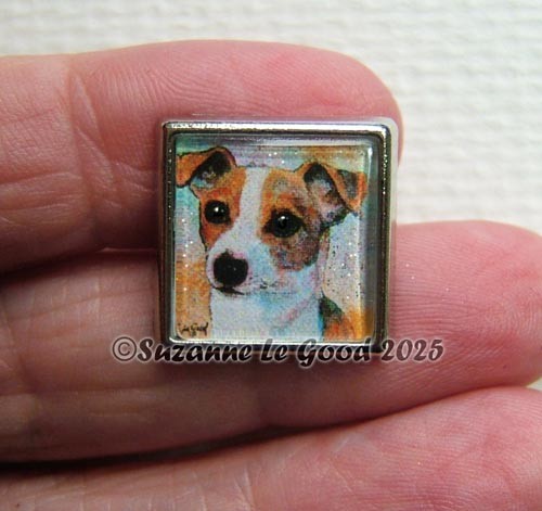 Jack russell terrier dog - terrier,