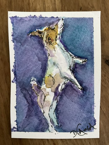 Watercolor aceo painting jack - aceo,