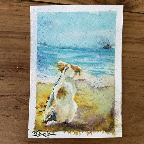 Watercolor aceo painting jack - painting,