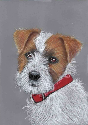 Original color pencil artwork