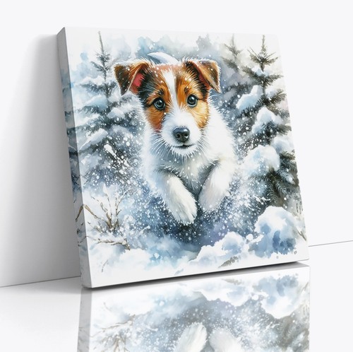 Jack russell dog - russell,