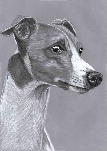 Original pencil drawing - original,